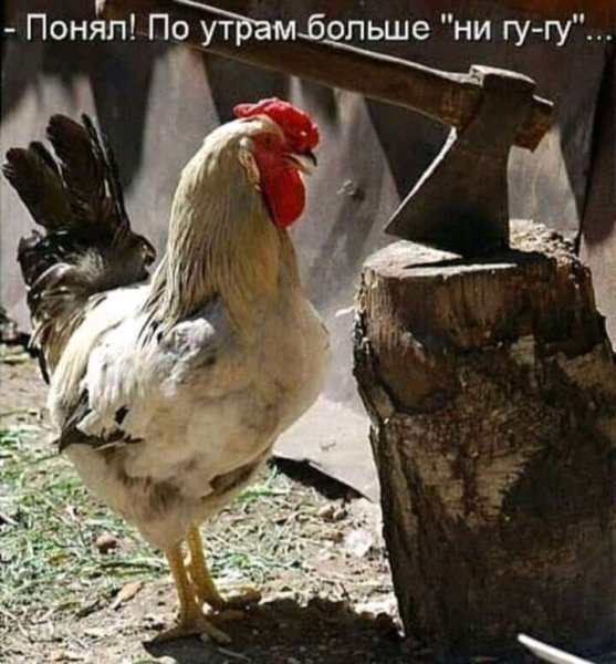 A86c55836b85605059fd34839f95a325