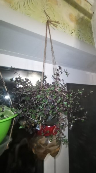 Коллизия