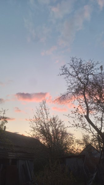 picture_411605620