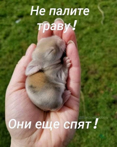 FB IMG 1553195683759