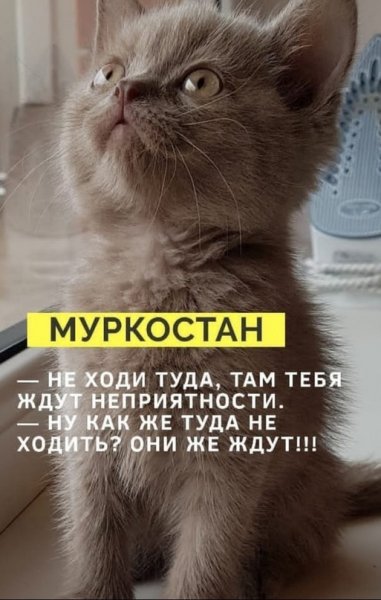 Да! ))