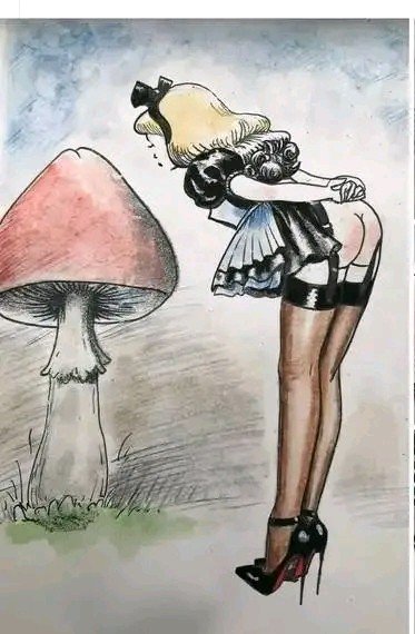 Грибочки!