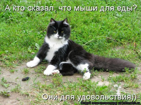 Да!