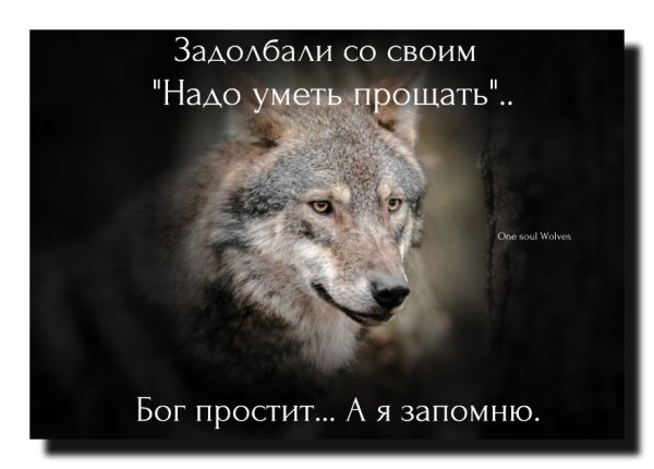 image (12)