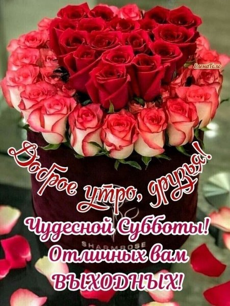 Доброе утро, друзья!