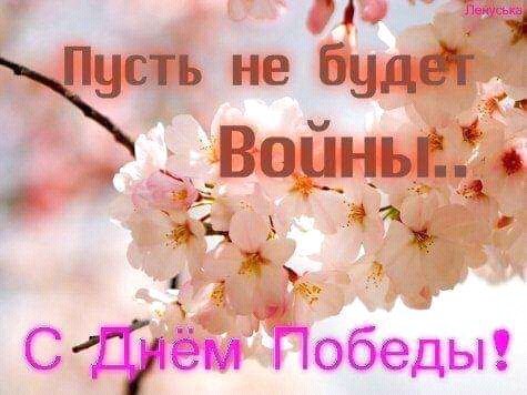FB IMG 15573831495255261