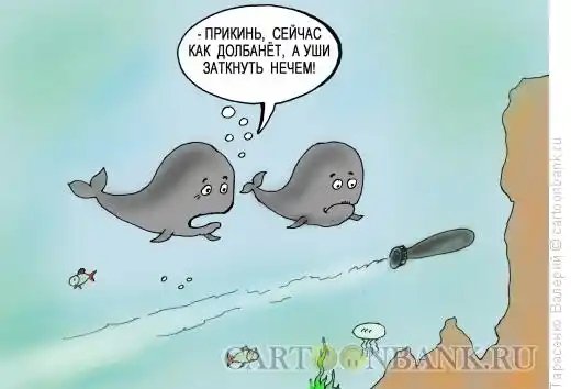 Kitovaya-oxota