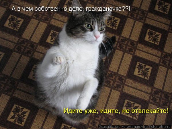 Не отвлекайте!