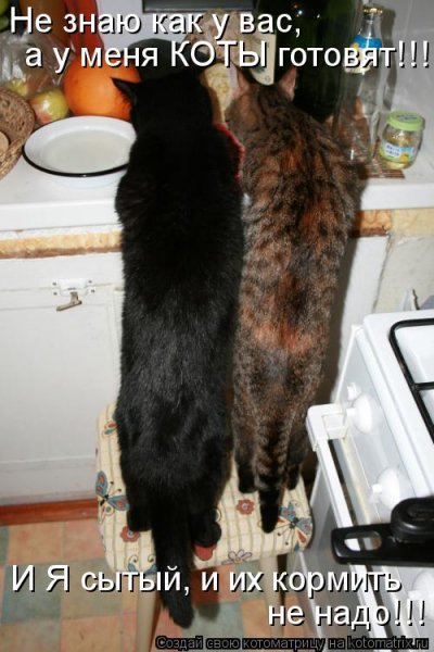 А у меня коты готовят!!!