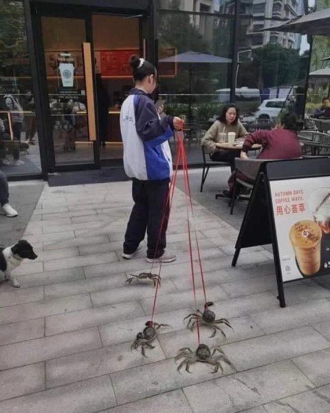 Гуляют