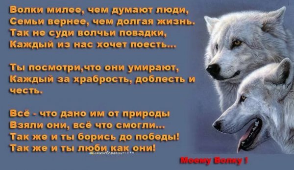 image-22