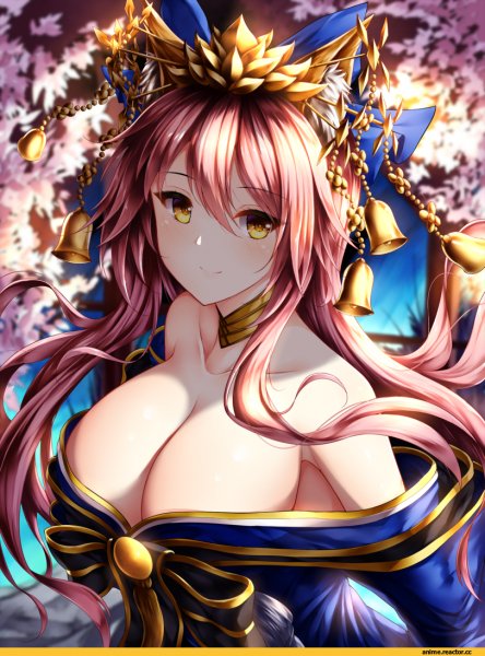 wsman-Caster-(FateExtra)-FateExtra-Fate-(series)-4547965
