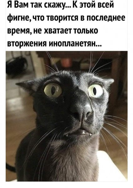 IMG 20200330 221709