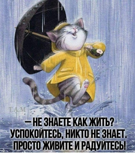 image-nashobmen.org