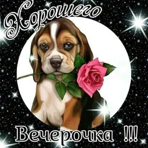 O d2fmg8g0w
