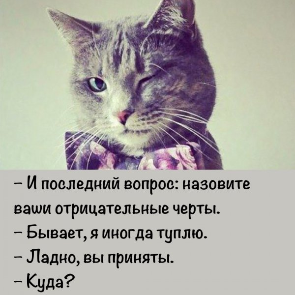 Куда?