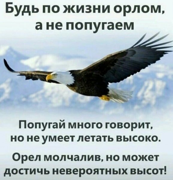 EBRyOdradIc