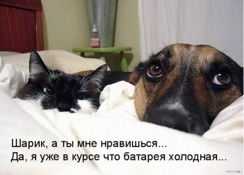 IMG-20150211-WA0000