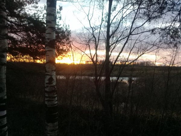 picture_404951440