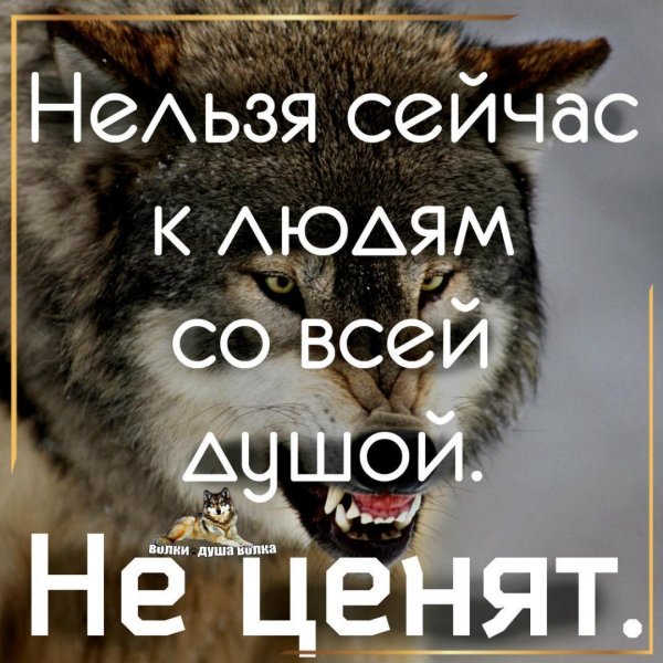 IMG 20200605 132609