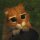 Age..of heroes online