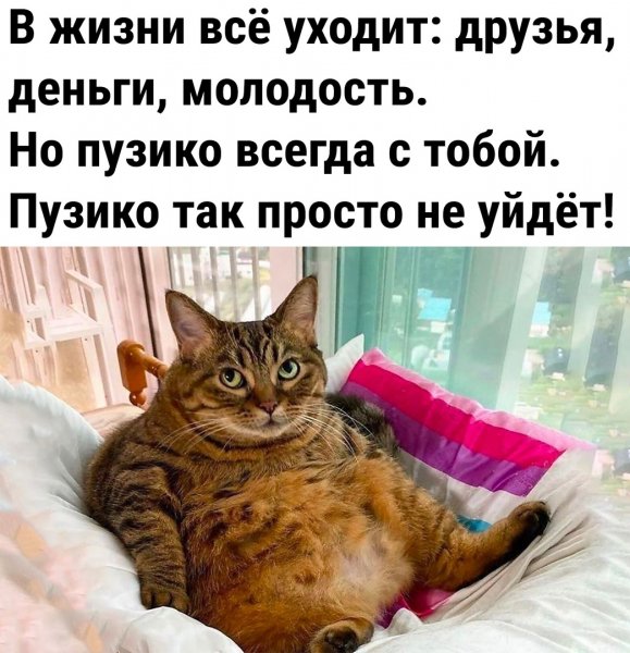 Пузико
