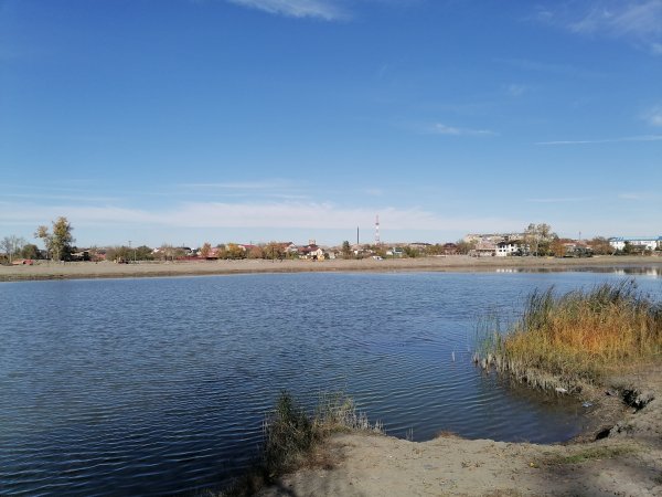 IMG 20251101 121903