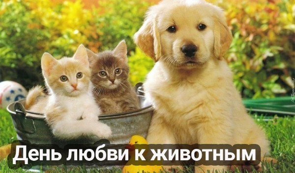 picture_347294245