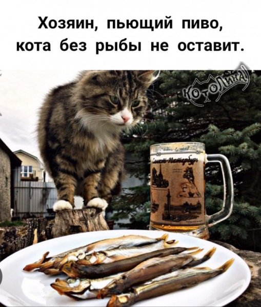 Не оставит