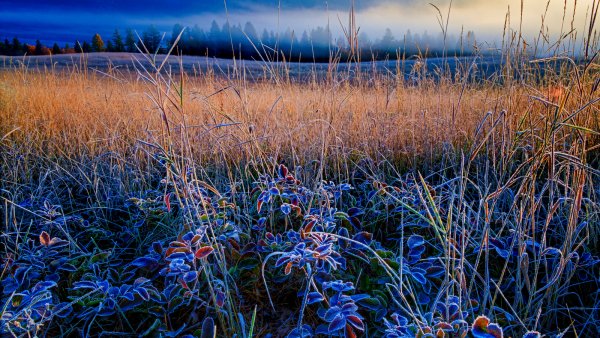 02-09-freezing-1-57327
