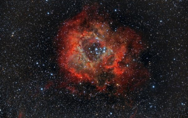 tumannost-rosette-rozetka