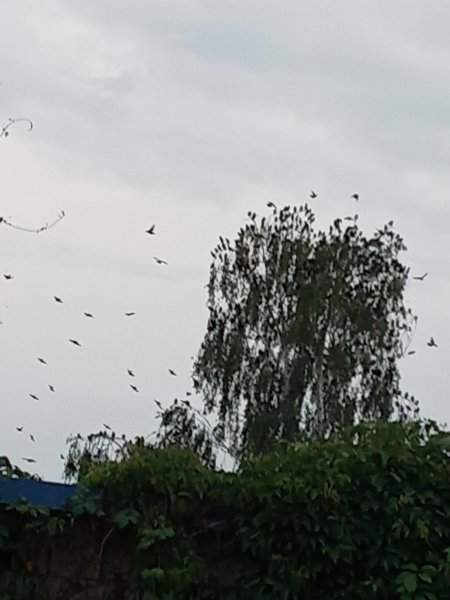 picture_414779049