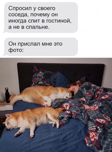 Оба - на!!!