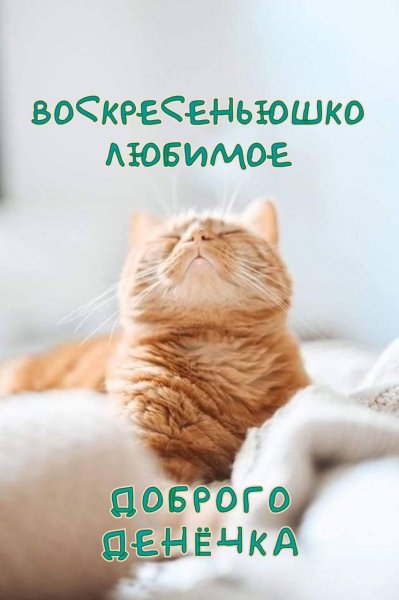 IMG-20240310-WA0015