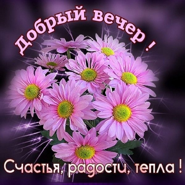 Друзья!