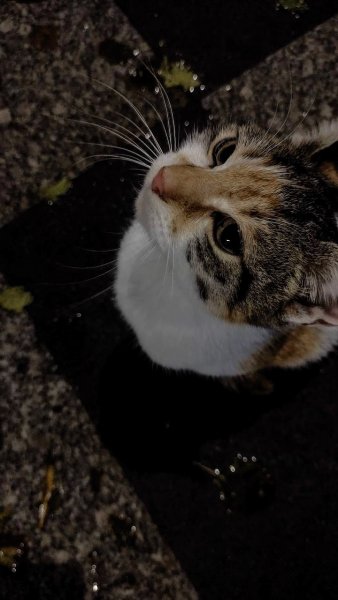 a8620f566907381cad49d0516a7