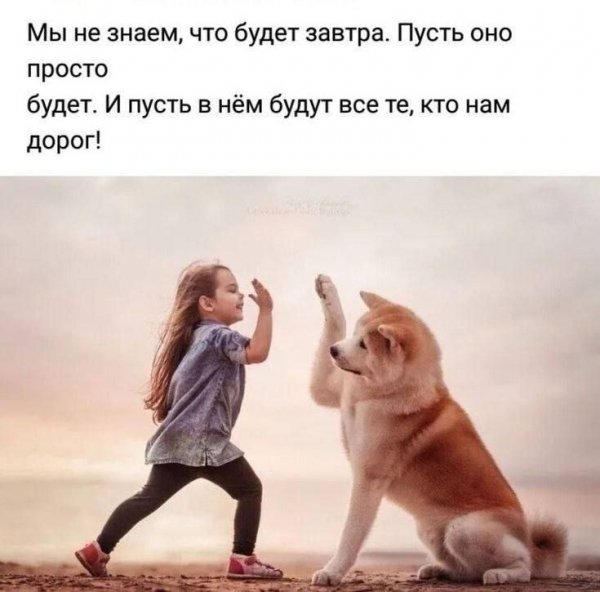 QpiHE3C3-9 lxw 7dv98WiR95LSM35eDwSMP1R9pcOpzihSsZicvnBJdzv9p
