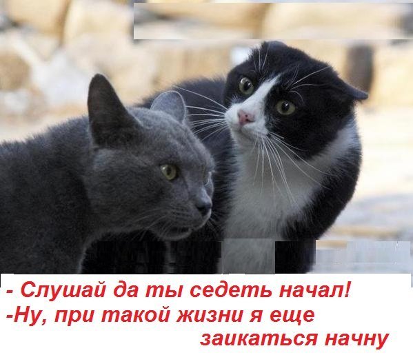 Заикаться начну