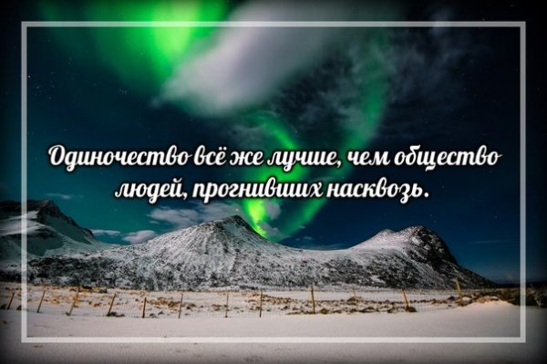 Прогнивших насквозь
