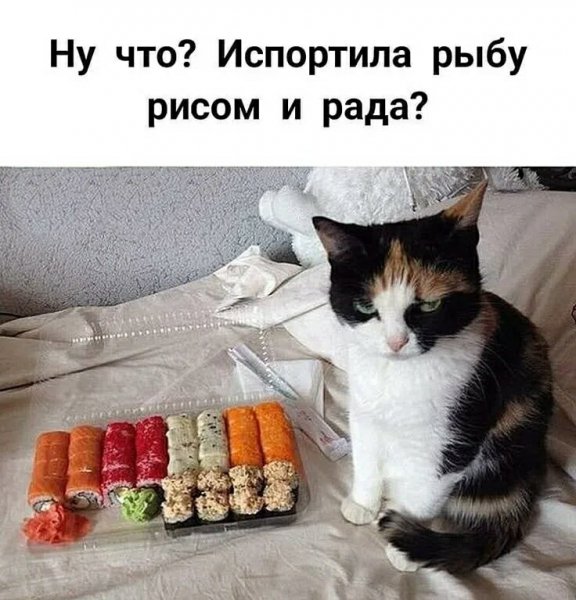 Наташа )