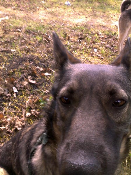 picture_239291698