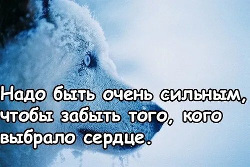 IMG 20220311 111833