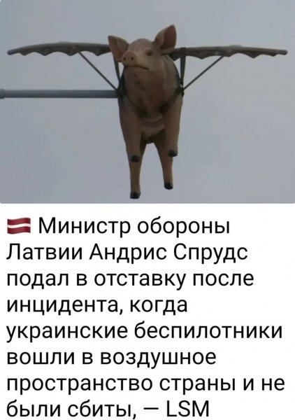 IMG 20260511 122642