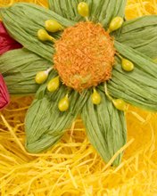 Flowers 037