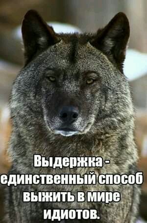 FB IMG 15822331044042651