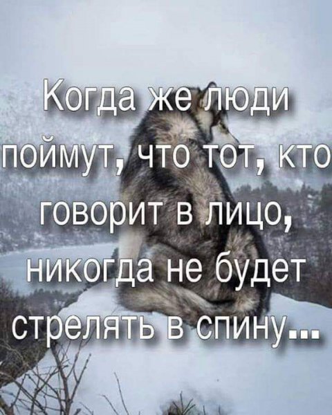 FB IMG 1550772621113