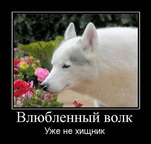 picture_63928774
