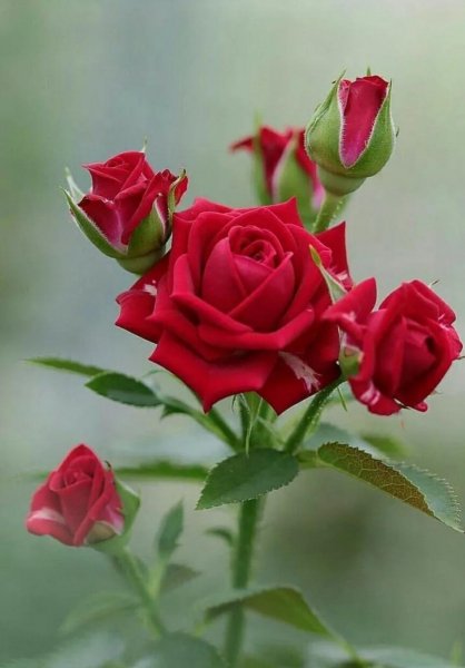 IMG 20250505 091037