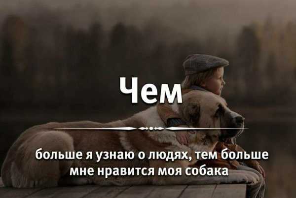 Факт!