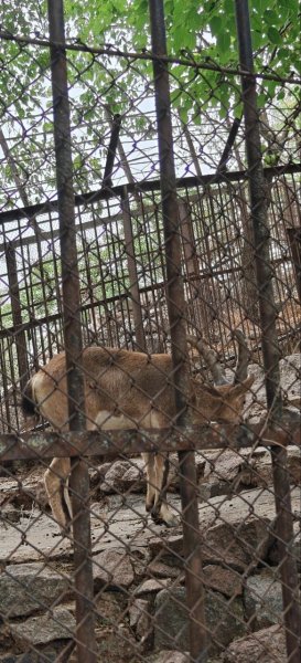 IMG 20260828 221632 050